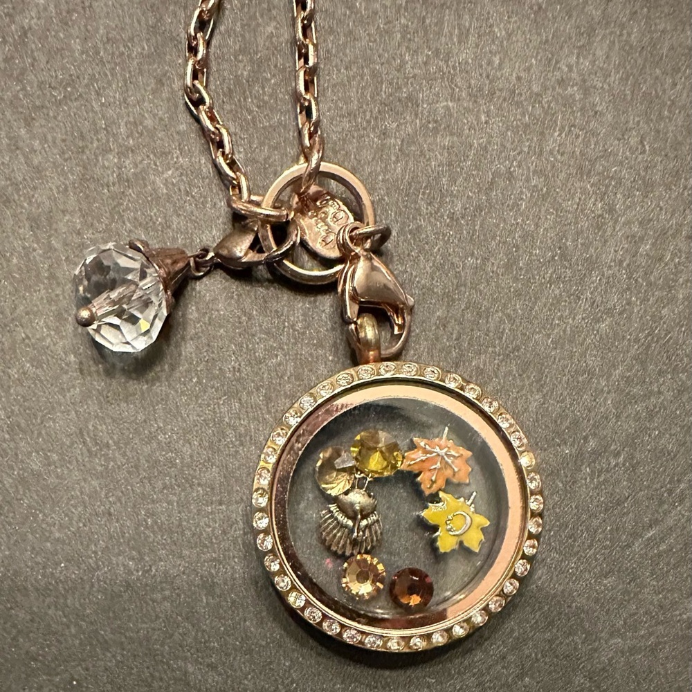 Origami Owl Fall Themed Locket Necklace